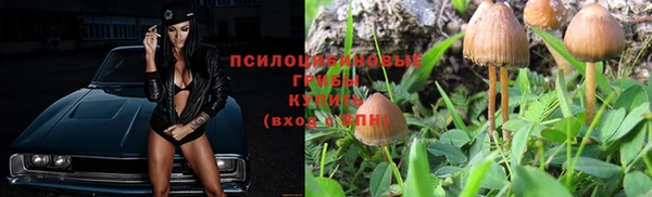 тгк Волоколамск