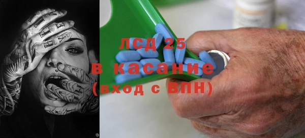 прущие грибы Тавда