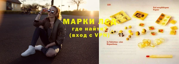 2c-b Тайга
