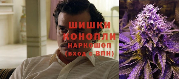 прущие грибы Тавда