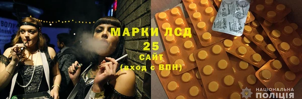 прущие грибы Тавда