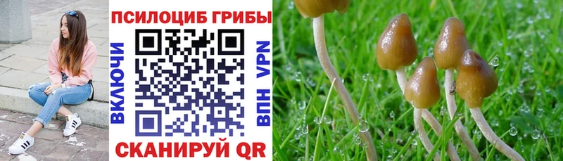 Псилоцибиновые грибы MAGIC MUSHROOMS  даркнет сайт  Долинск 